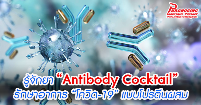 รู้จักยา “Antibody Cocktail” รักษาอาการ “โควิด-19” แบบโปรตีนผสม