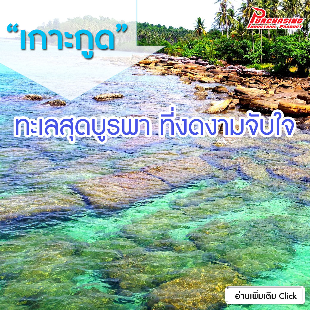 “เกาะกูด”ทะเลงามสุดบูรพา...ไม่ธรรมดานาม“คลองเจ้า” อ่าว-หาด 3 น้ำ ชุ่มฉ่ำน้ำตกสวย “เกาะกูด”ทะเลงามสุดบูรพา...ไม่ธรรมดานาม“คลองเจ้า” อ่าว-หาด 3 น้ำ ชุ่มฉ่ำน้ำตกสวย