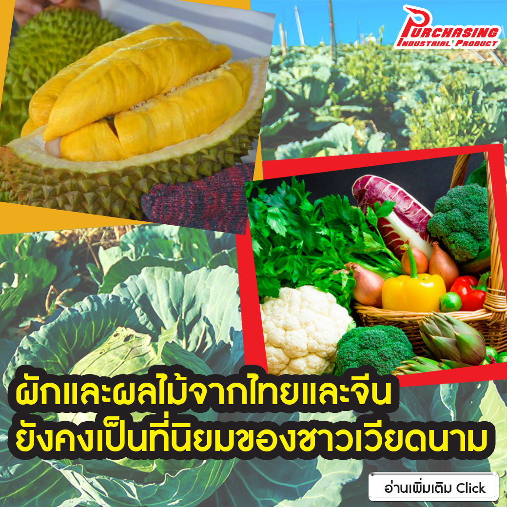 ผักและผลไม้จากไทยและจีนยังคงเป็นที่นิยมของชาวเวียดนาม ผักและผลไม้จากไทยและจีนยังคงเป็นที่นิยมของชาวเวียดนาม