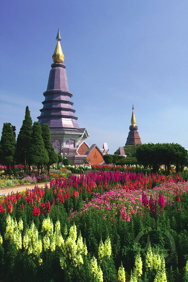 เยือนลมหนาว ดอยอินทนนท์ ดอยที่มีอากาศเย็นตลอดทั้งปี 