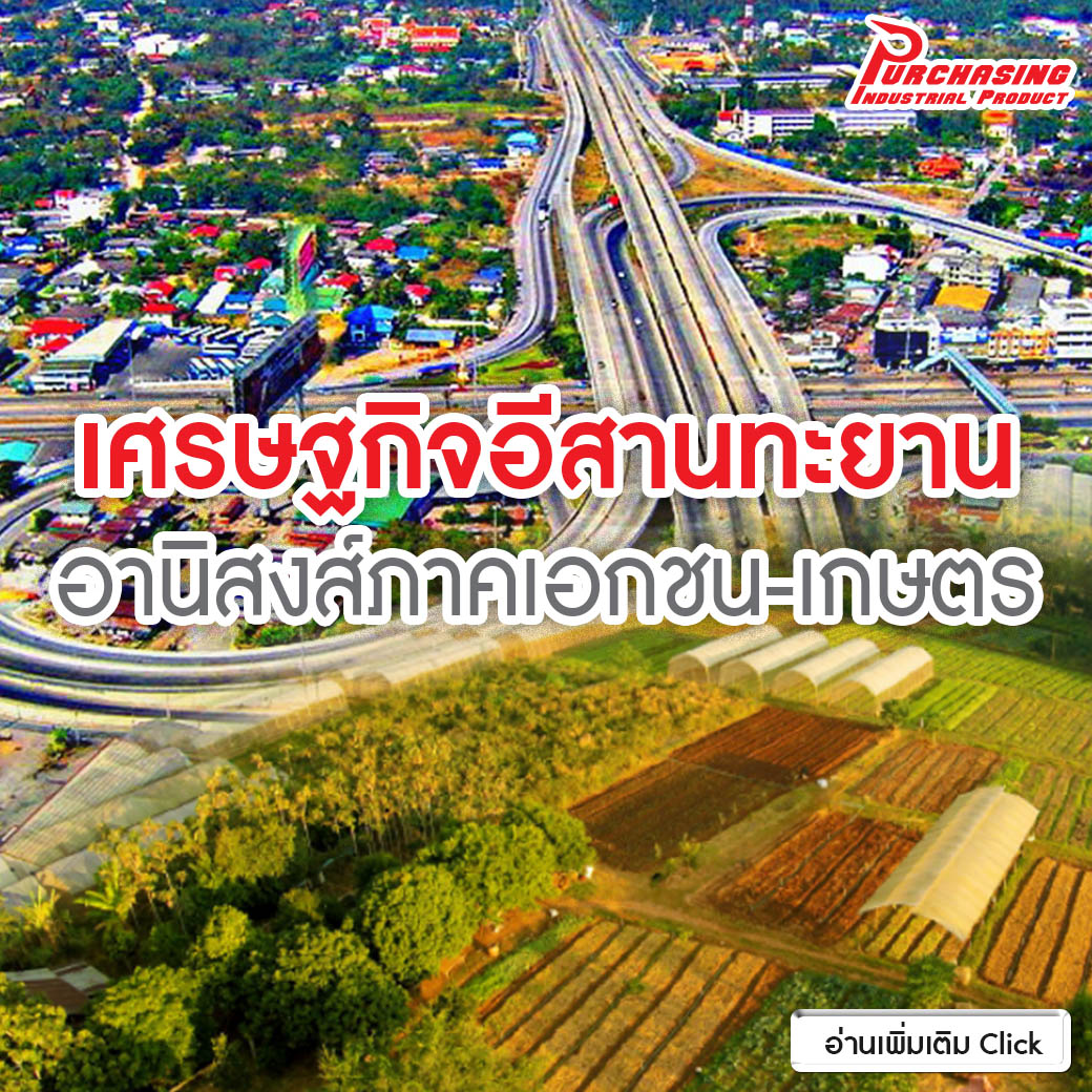 เศรษฐกิจอีสานทะยาน อานิสงส์ภาคเอกชน-เกษตร เศรษฐกิจอีสานทะยาน อานิสงส์ภาคเอกชน-เกษตร