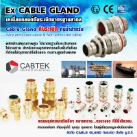 เคเบิ้ลแกลนด์กันระเบิด EX Cable Gland