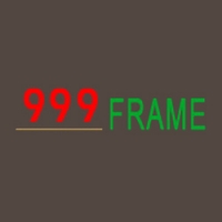 999 (2005) Frame Ltd., Part.