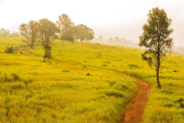 อุทยานแห่งชาติเขาใหญ่ จังหวัดนครราชสีมา