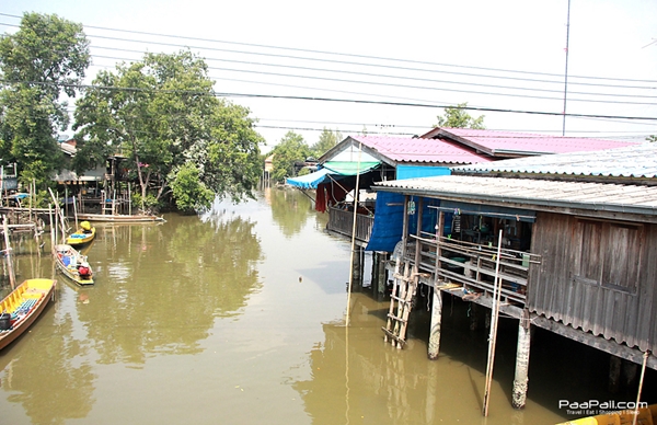 ปูไข่..คลองโคน “ร้านเกษร“ ของอร่อย..ที่ไม่ต้องเหาะไปกินถึงทะเล