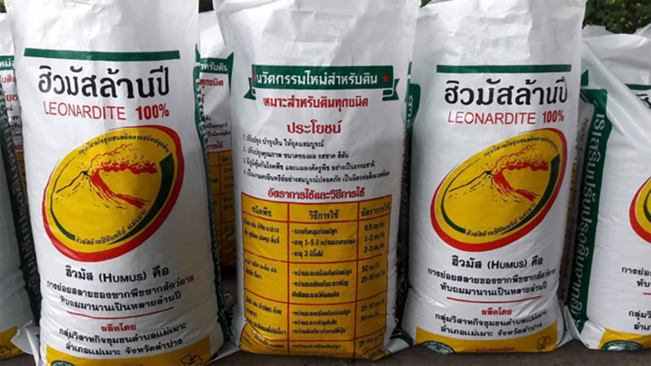 ฮิวมัสล้านปี