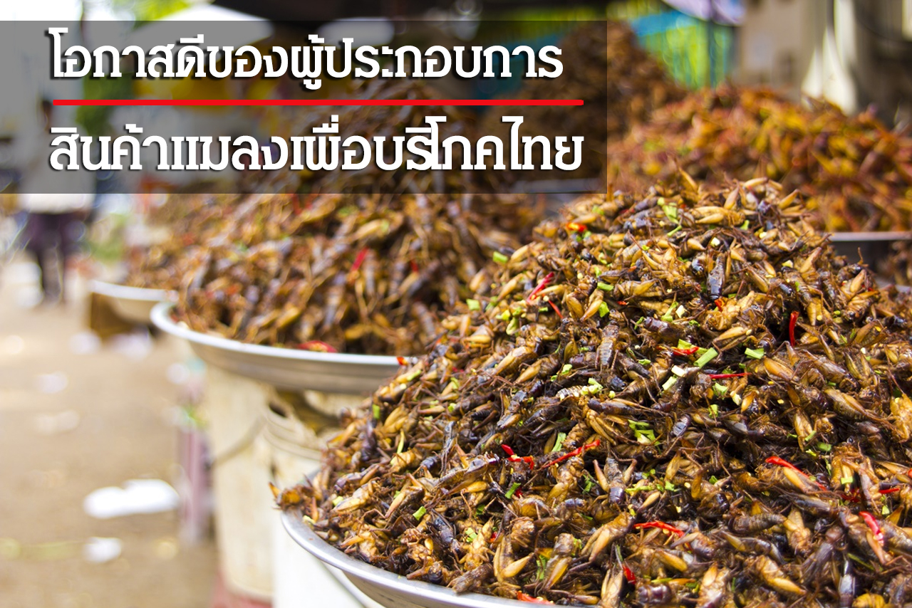 โอกาสดีของผู้ประกอบการสินค้าแมลงเพื่อบริโภคไทย - THAIPURCHASING NEWs