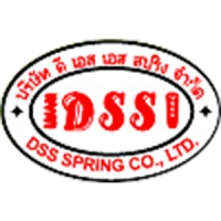 DSS Spring